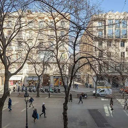 Canela Homes Rambla Cat *