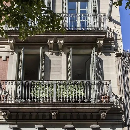 Canela Homes Rambla Cat